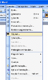 Menu Formatar Colunas