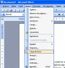 Caixa de Texto Caixa de Texto