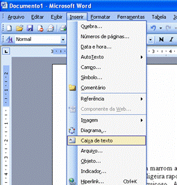 Inserir Caixa de Texto