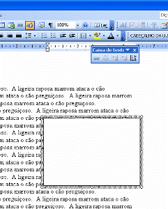 Caixa de Texto Caixa de Texto
