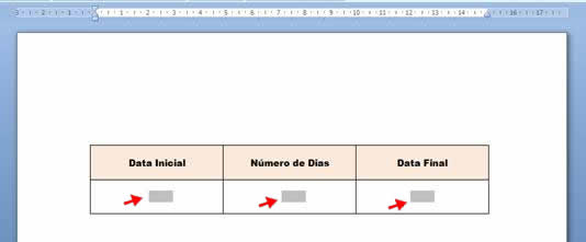 Campo de texto Campo de texto