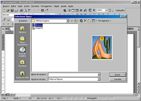 Inserir Figura Inserir Figura