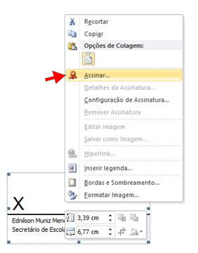 Assinatura no Word 2010