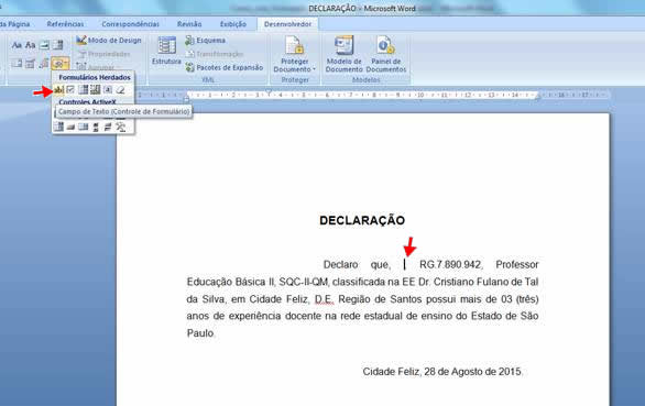Campo de Formulário Texto Campo de Formulário Texto