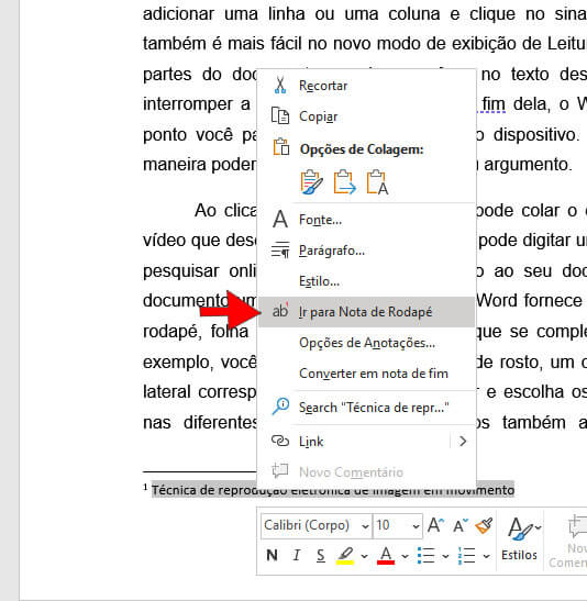 Ir para Nota de Rodapé Ir para Nota de Rodapé