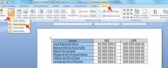 Excluir Colunas Excluir Colunas