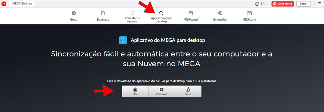 baixar aplicativo do Mega para desktop
