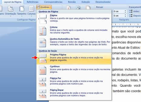 Quebra de Seção Próxima Página