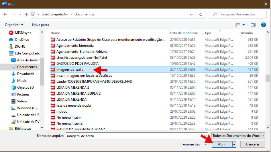 Abrir Documento PDF Abrir documento PDF