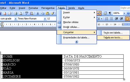 Converter Tabela em Texto