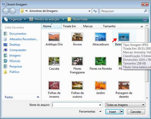 Inserir Imagem Inserir Imagem