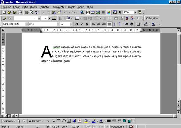 Letra Capitular