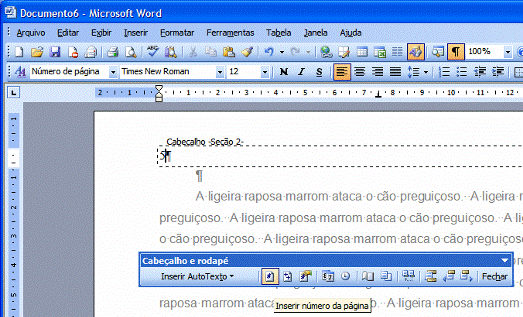 Inserir número de página Inserir número de página