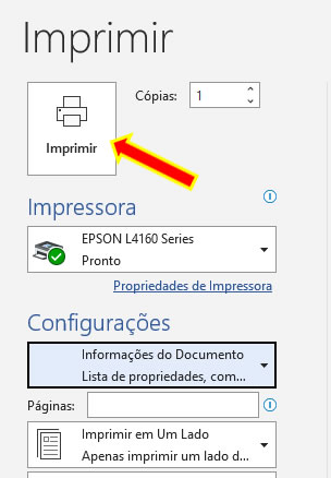 Imprimir informações do documento Imprimir informações do documento