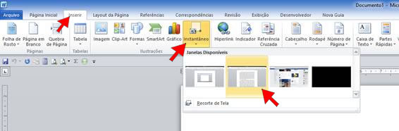 Ferramenta Instantâneo no Word 2010