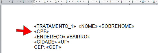 campo CPF adicionado campo CPF adicionado