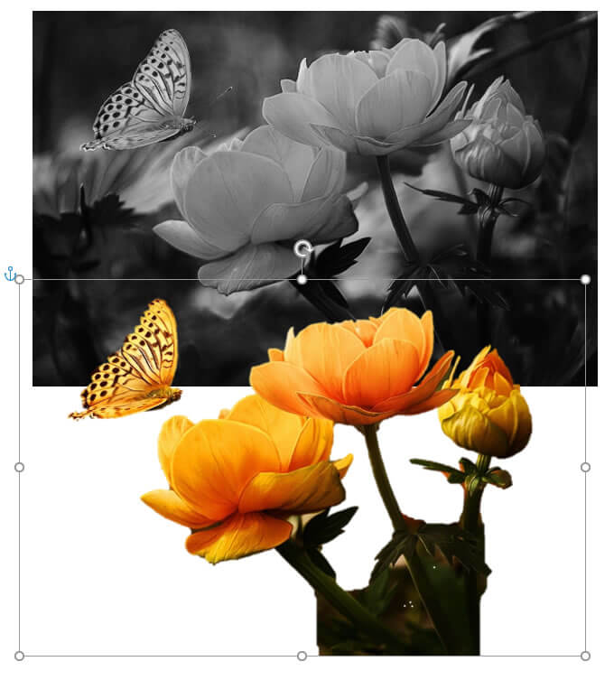 arrastando a imagem arrastando a imagem