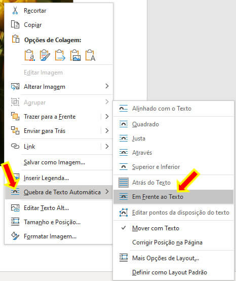 Em Frente ao Texto Em Frente ao Texto