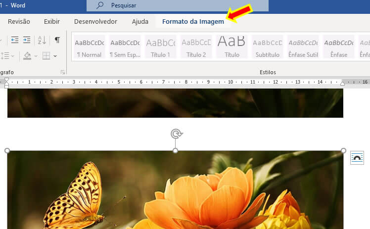 Guia Formato da Imagem Guia Formato da Imagem