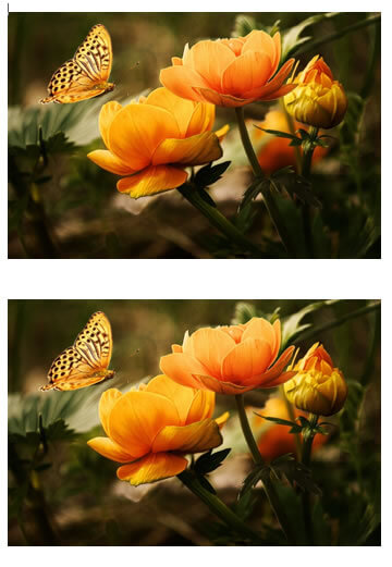Imagem duplicada Imagem Duplicada