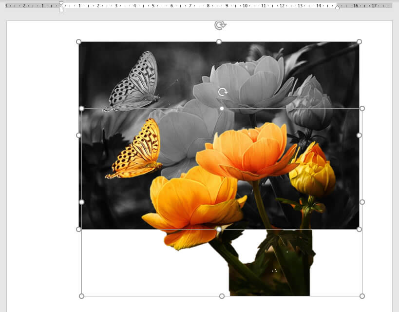 Imagens selecionadas simultaneamente Imagens selecionadas simultaneamente