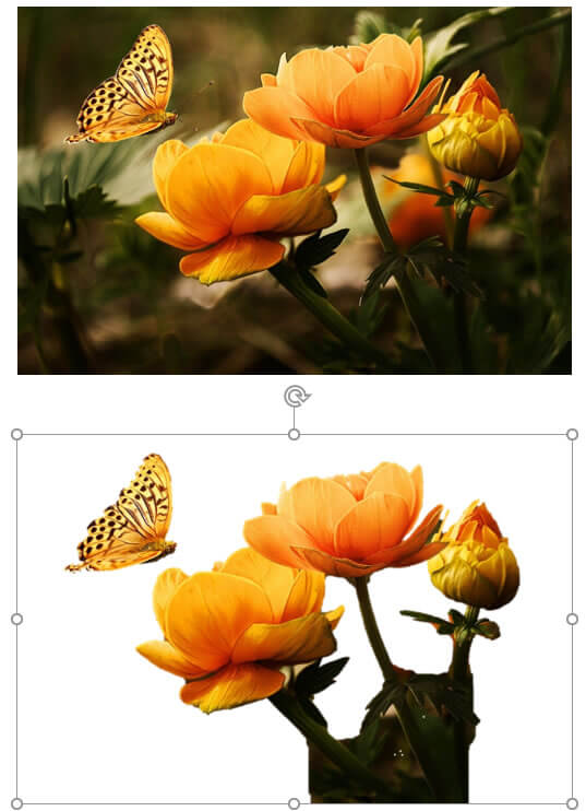 Partes da imagem mantidas Partes da imagem mantidas