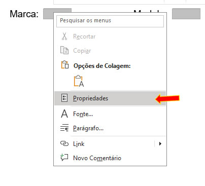 Propriedados do Formulário Propriedades do Formulário
