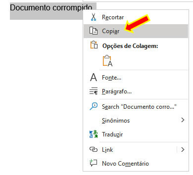 Selecionar e Copiar Selecionar e Copiar